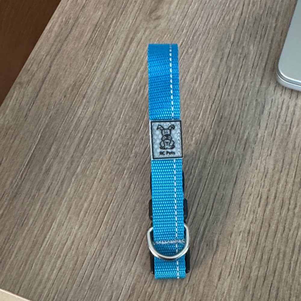 RC PETS Extra Small Dog Collar
